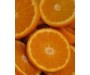 Orange Sweet - Citrus sinensis